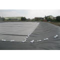 PVC Flexible Geomembrane Piscina River Parking Proofing